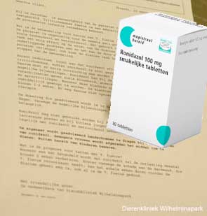 Een kat met tritrichomonas besmetting krijgt een behandeling met ronidazol, we geven er ook een brief bij met voorzorgsmaatregelen